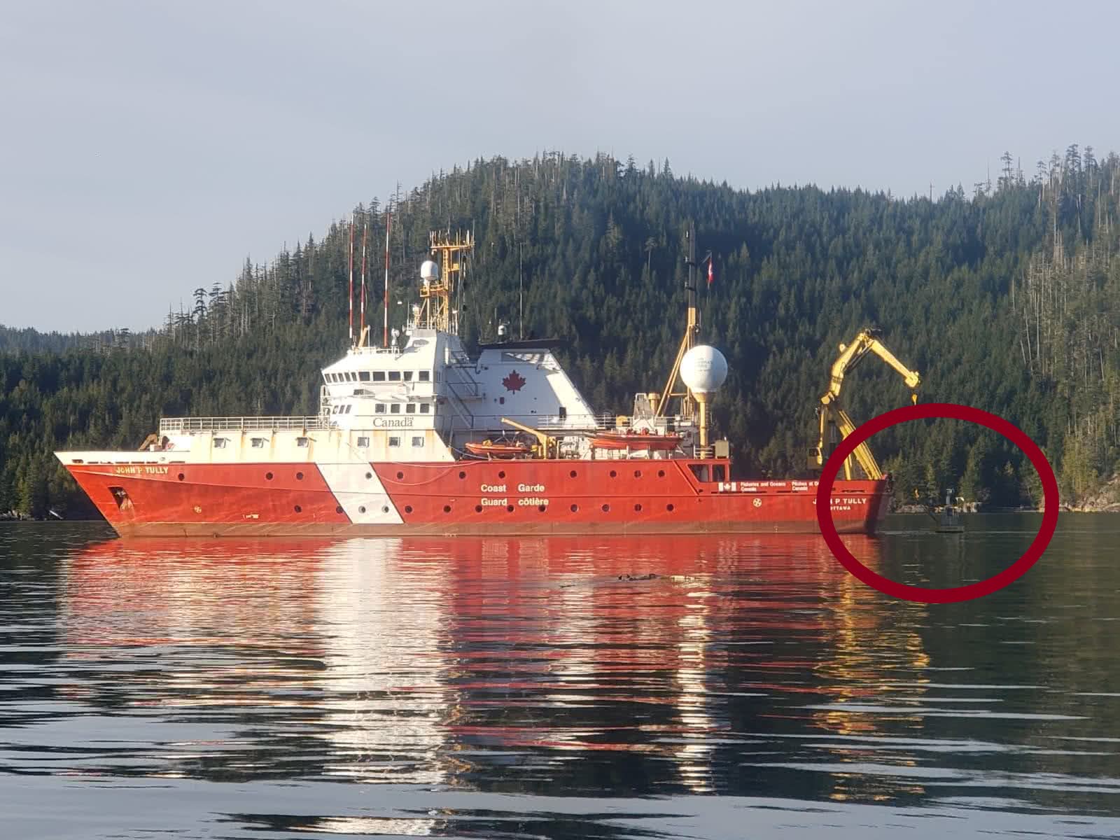 Tully and Viking buoy - circle